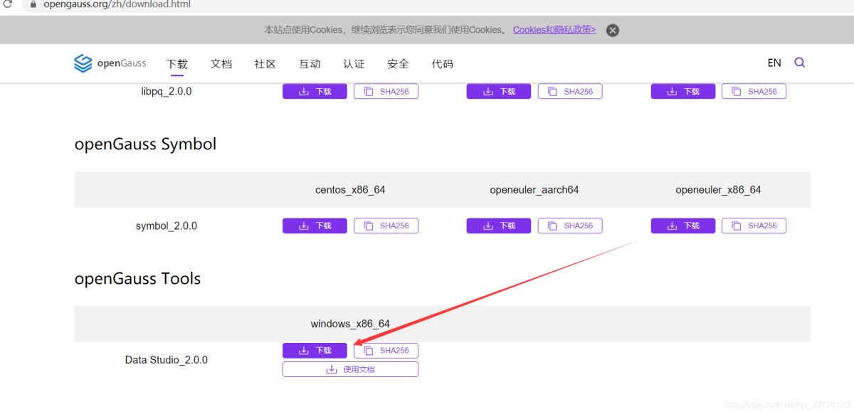 gaussdb 200安裝 data studio jdbc idea鏈接保姆級安裝步驟