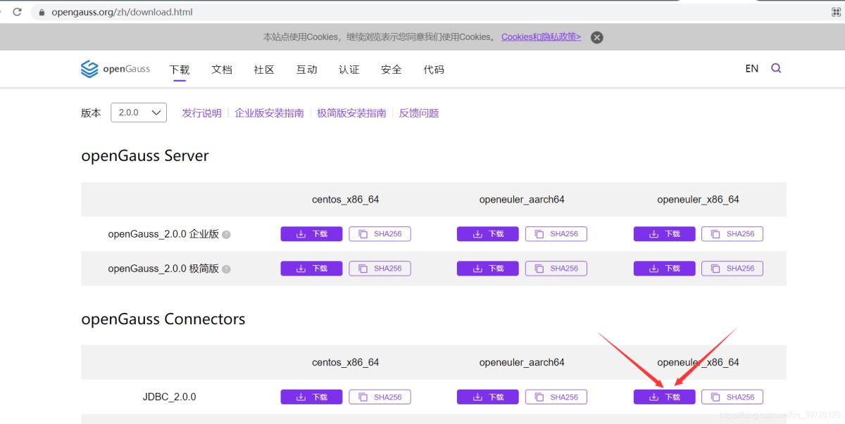 gaussdb 200安裝 data studio jdbc idea鏈接保姆級安裝步驟