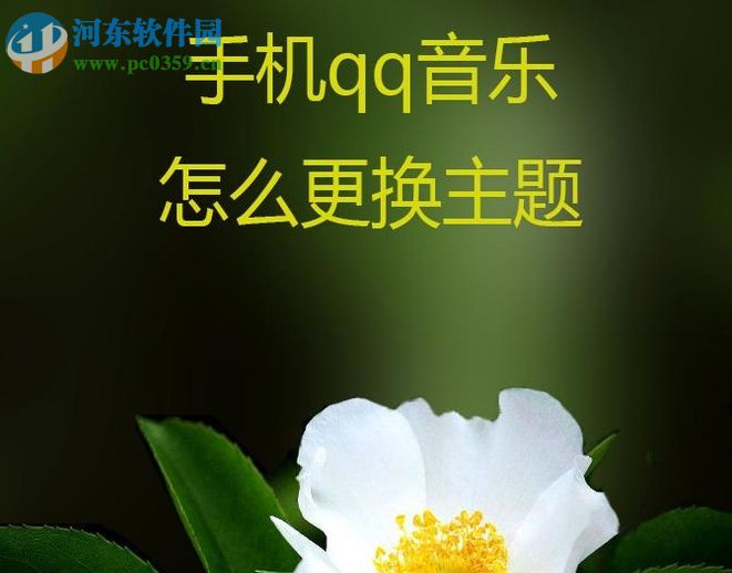 手機(jī)qq音樂更換主題風(fēng)格的方法