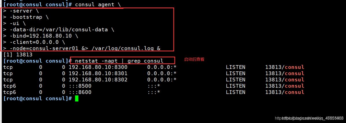 Docker consul的容器服務(wù)更新與發(fā)現(xiàn)的問題小結(jié)