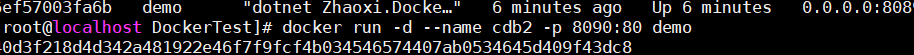 Docker 部署net5程序?qū)崿F(xiàn)跨平臺(tái)功能