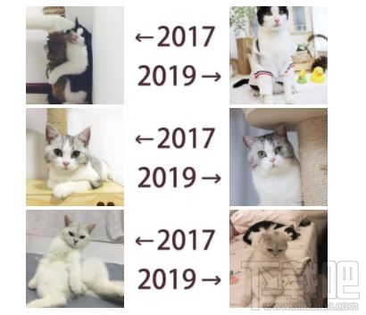 朋友圈曬2017-2019什么意思 發(fā)2017和2019對比的是什么梗