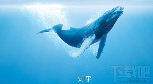 知乎知卡怎么申請?知乎知卡申請辦理地址