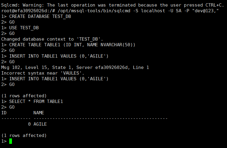 使用Docker運行SQL Server的實現(xiàn)