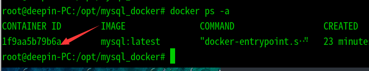 Deepin使用docker安裝mysql數(shù)據(jù)庫(kù)過(guò)程詳解