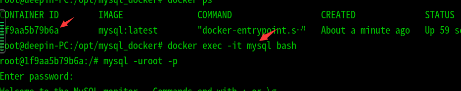 Deepin使用docker安裝mysql數(shù)據(jù)庫(kù)過(guò)程詳解