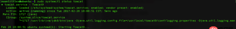 service - Ubuntu16 Tomcat9 設(shè)置開機(jī)自動(dòng)重啟時(shí)為什么起不來？