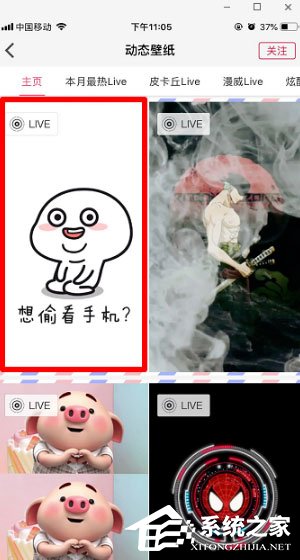 動態壁紙精靈APP怎么設置手機壁紙？