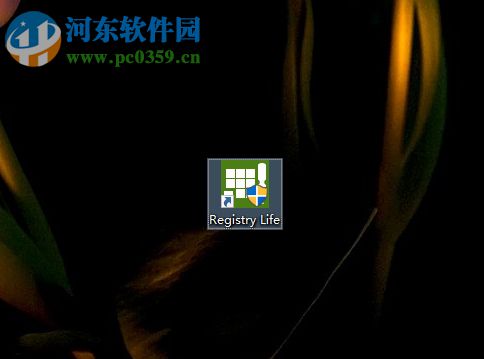 Registry Life清理注冊表文件的方法