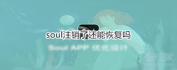 soul注銷了還能恢復(fù)嗎