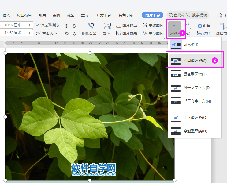 wps圖片統(tǒng)一調(diào)整尺寸