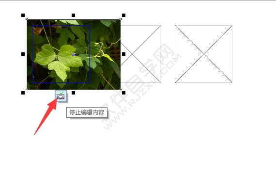 cdr怎樣排版圖片