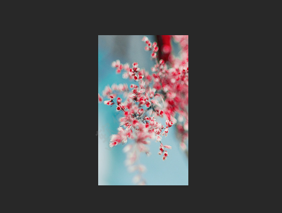ps應(yīng)用畫(huà)布大小命令裁剪照片