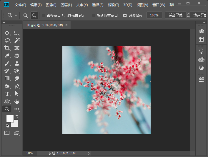 ps應(yīng)用畫(huà)布大小命令裁剪照片