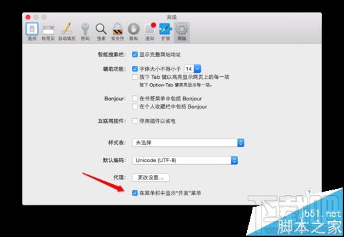 MAC系統中怎么開啟Safari開發者模式？