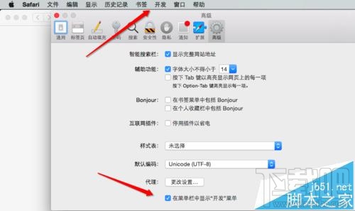 MAC系統中怎么開啟Safari開發者模式？