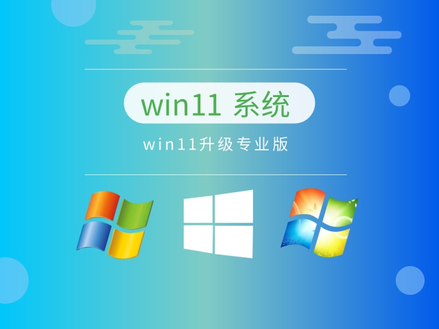 個(gè)人使用裝win11哪個(gè)版本