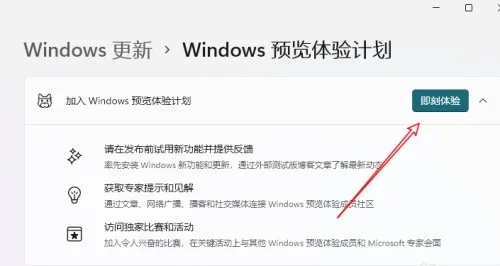 win12內測申請
