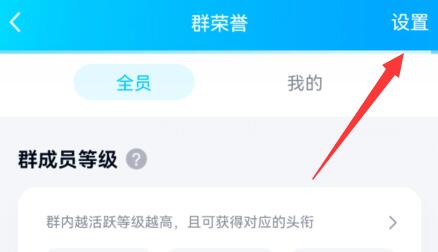 qq群頭銜設置動態教程