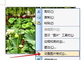 word調(diào)整圖片像素大小教程
