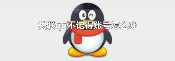關(guān)聯(lián)qq不記得賬號(hào)怎么辦